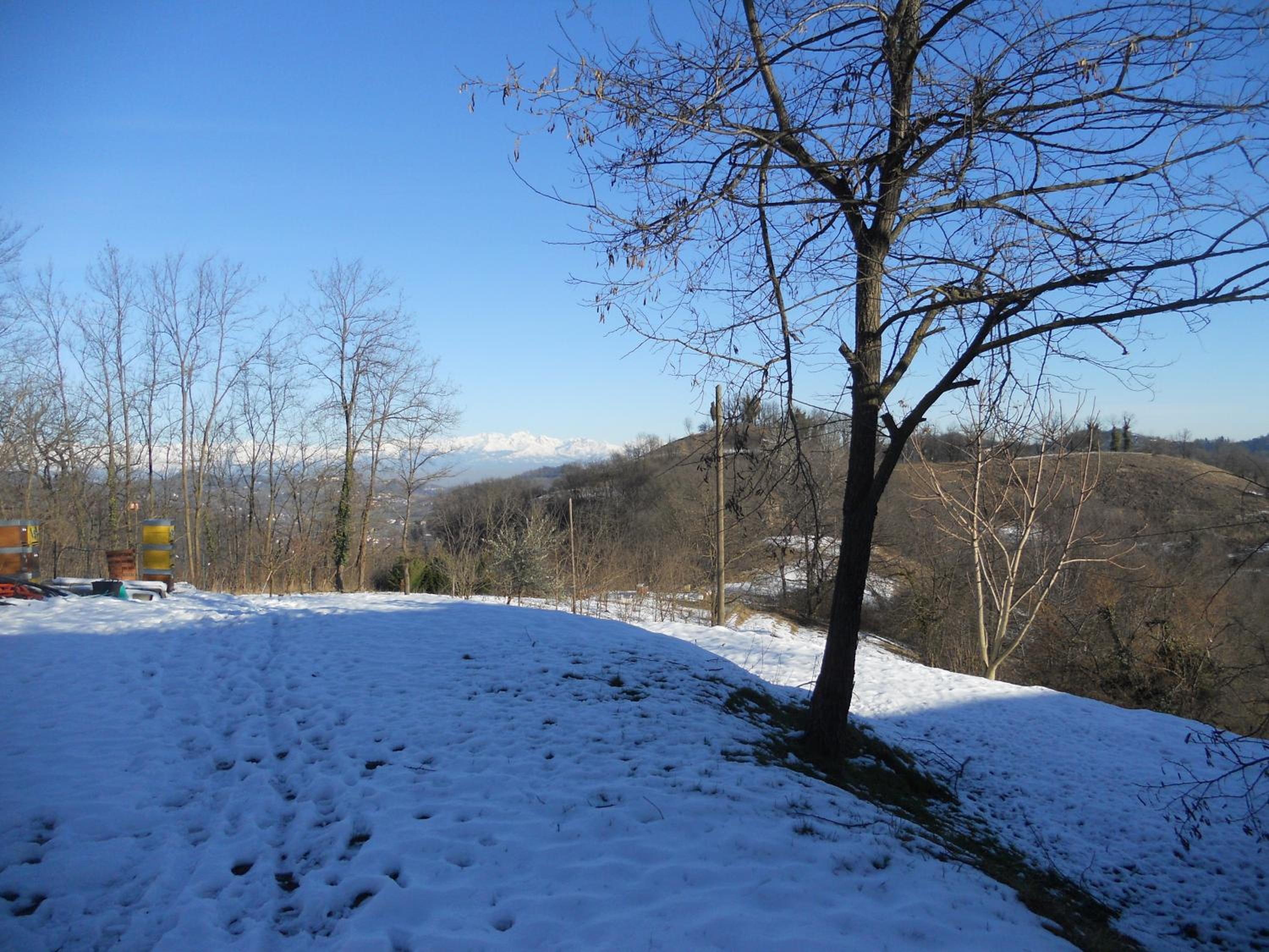 Casale immerso nel bosco a Casalborgone con piscina all'aperto view 5