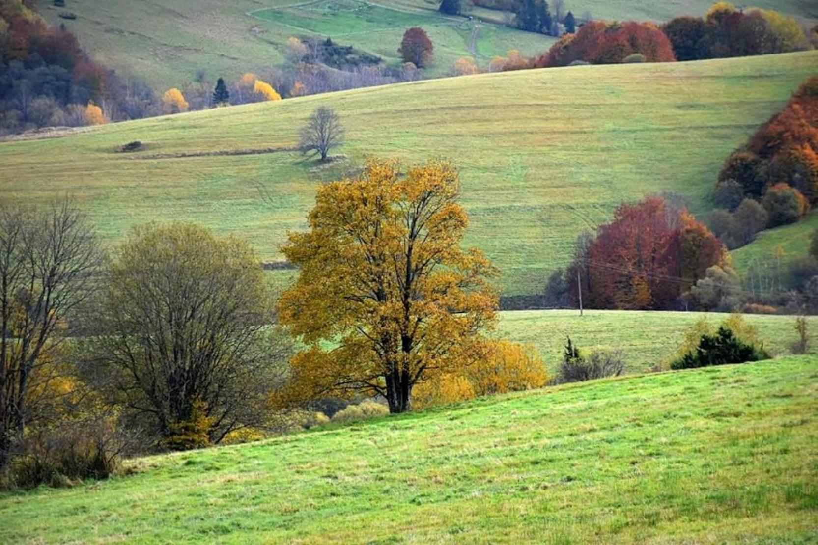 Krystyna