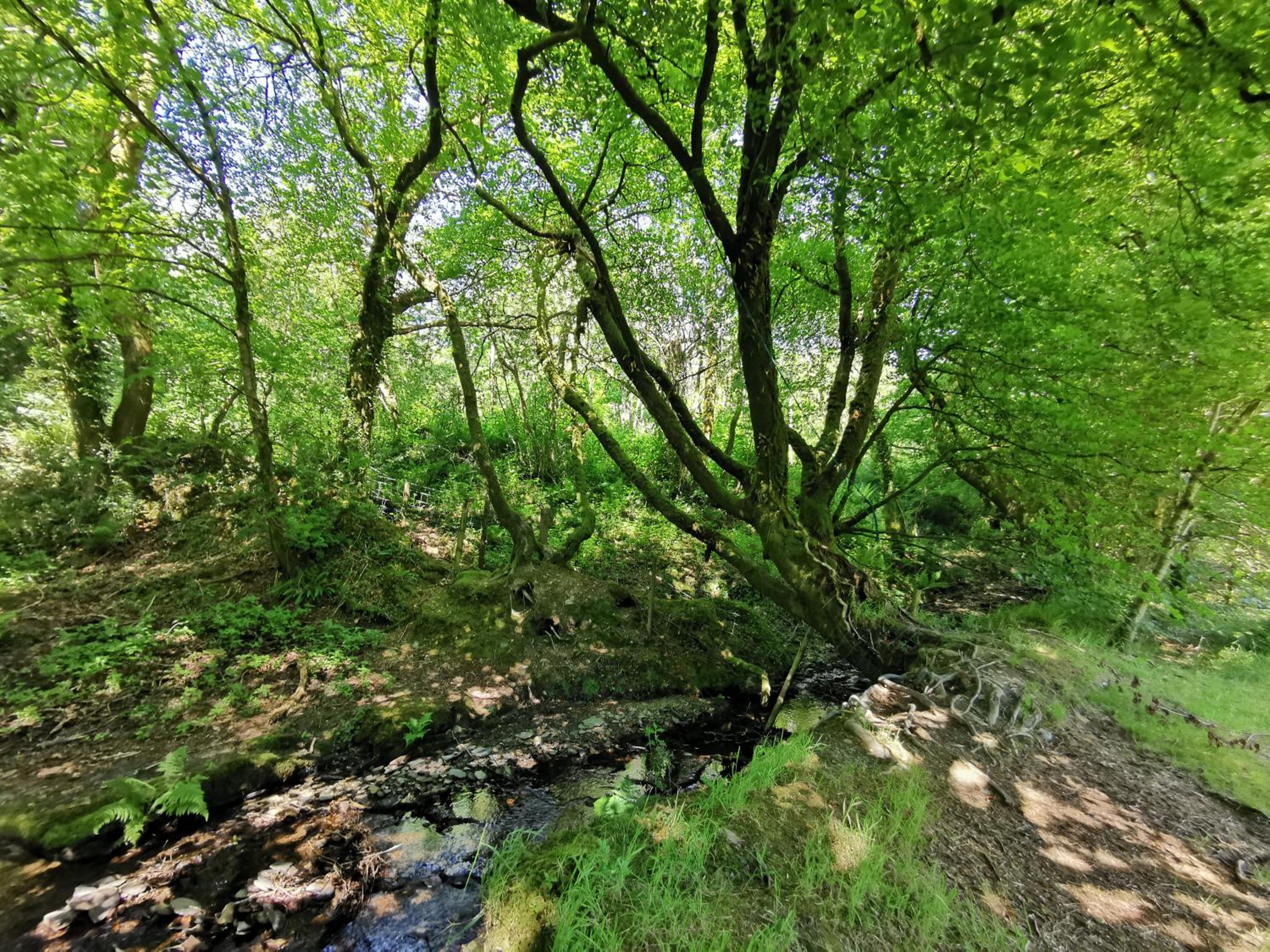 Photo 46