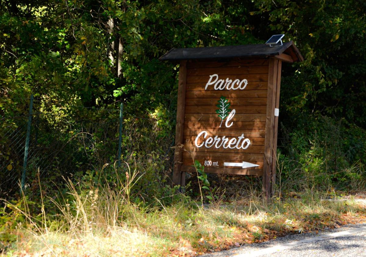 CASTEL DI SANGRO - chalet a pochi minuti di auto dalle piste immerso nel verde view 4