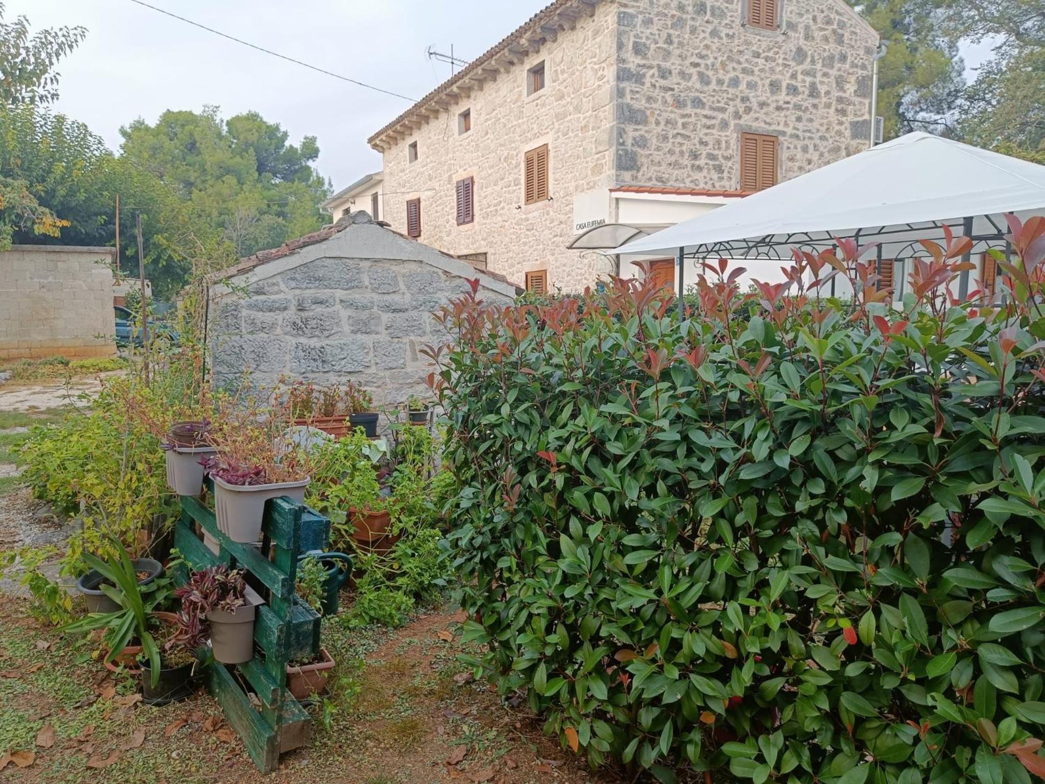 Photo 40