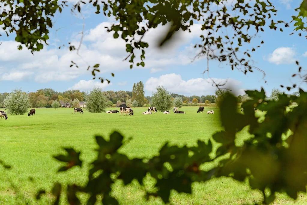 Prachtig vrijstaand familiehuis op groot perceel