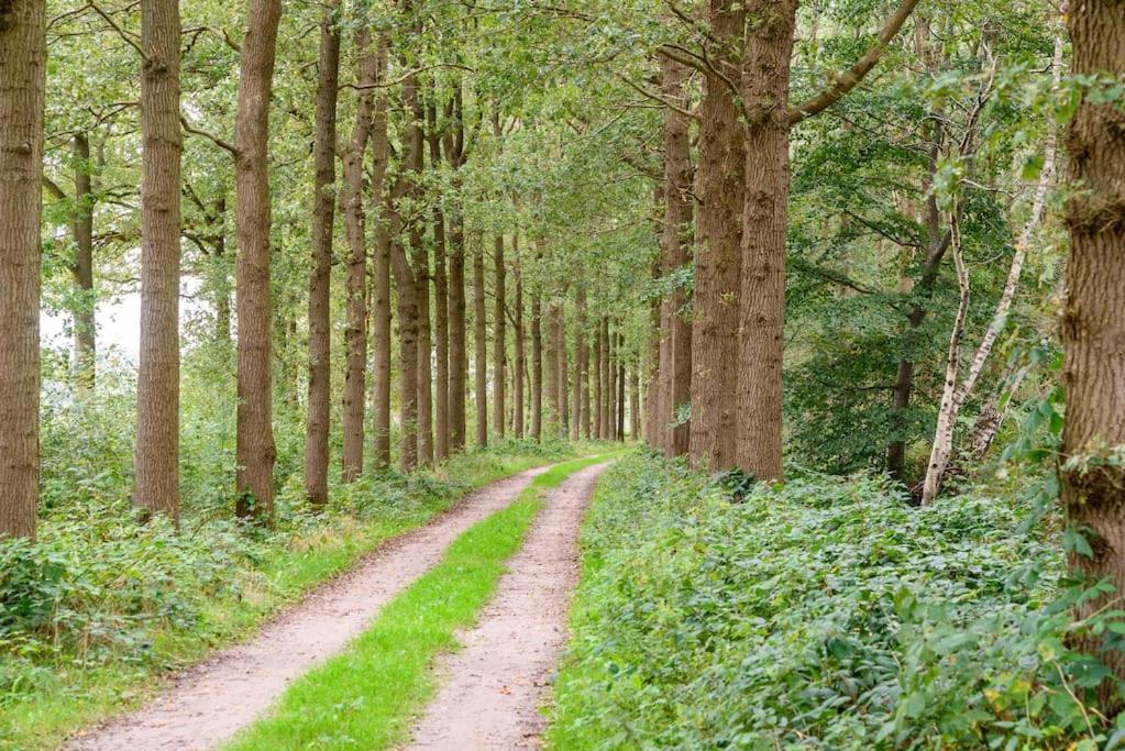 Prachtig vrijstaand familiehuis op groot perceel
