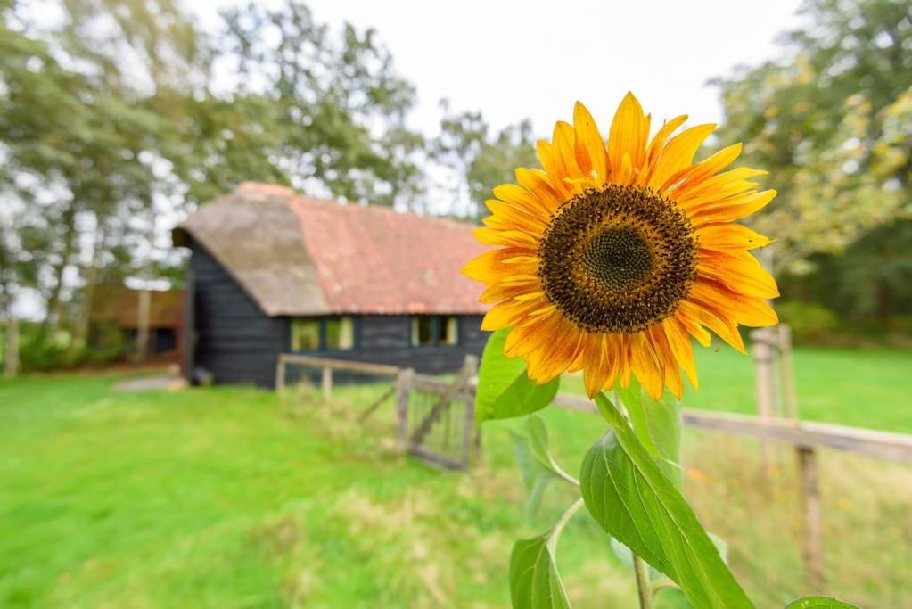 Prachtig vrijstaand familiehuis op groot perceel