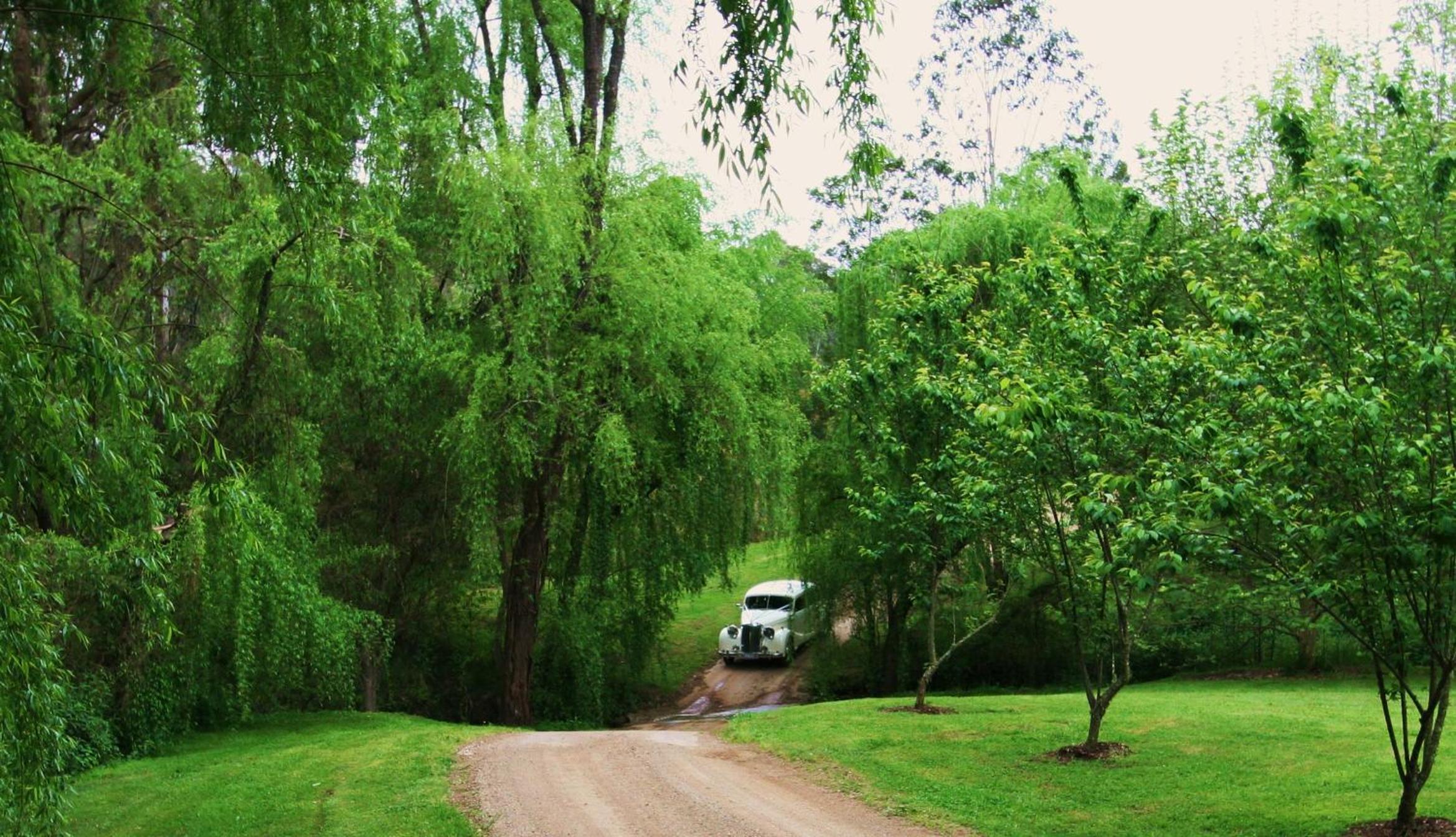 Cedars Mount View (Adults Only)