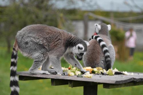 Photo 80