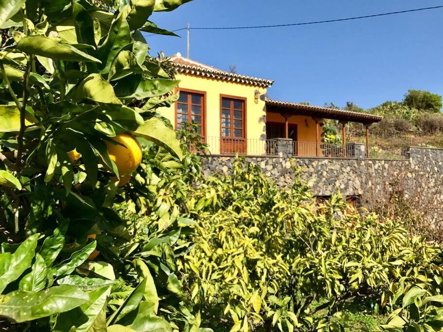 RUSTIC HOUSE LA MONTAÑA
