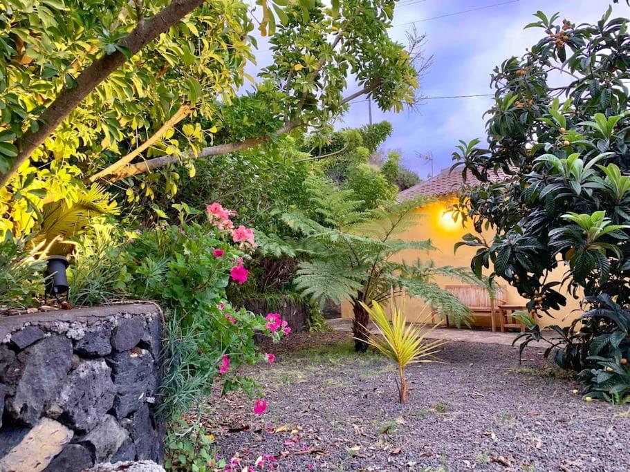 RUSTIC HOUSE LA MONTAÑA