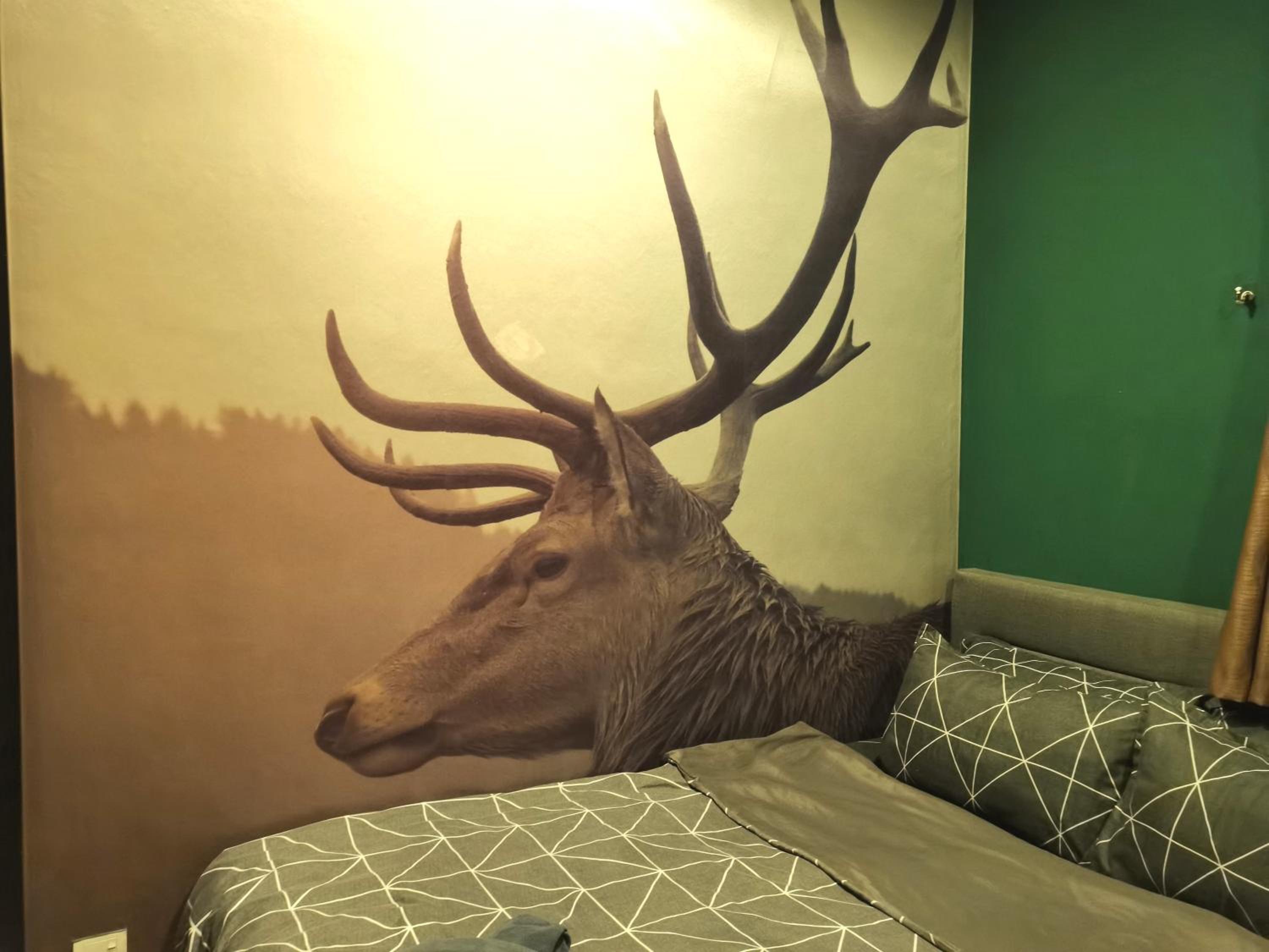 Cozy Forest Themed Homestay 4 Bedroom (max 12pax)