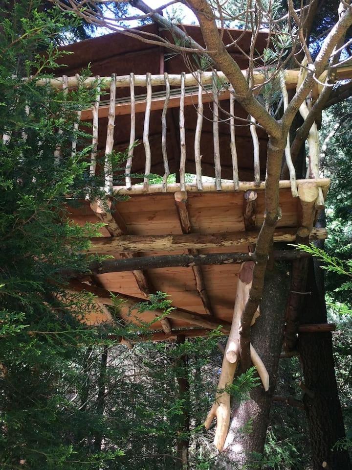 Aughavannagh Yurt Glamping