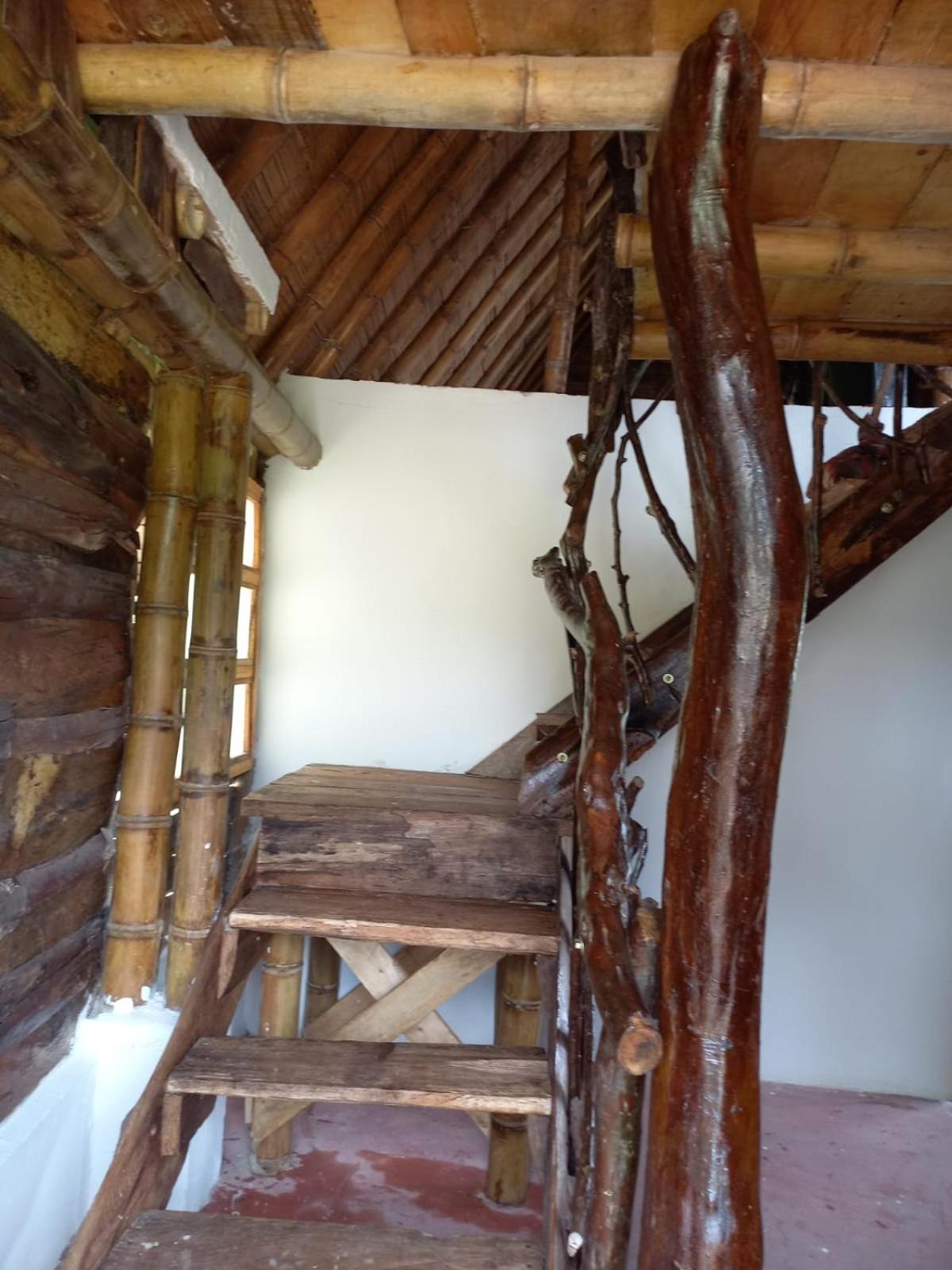 Preciosa Cabaña alpina en zona rural