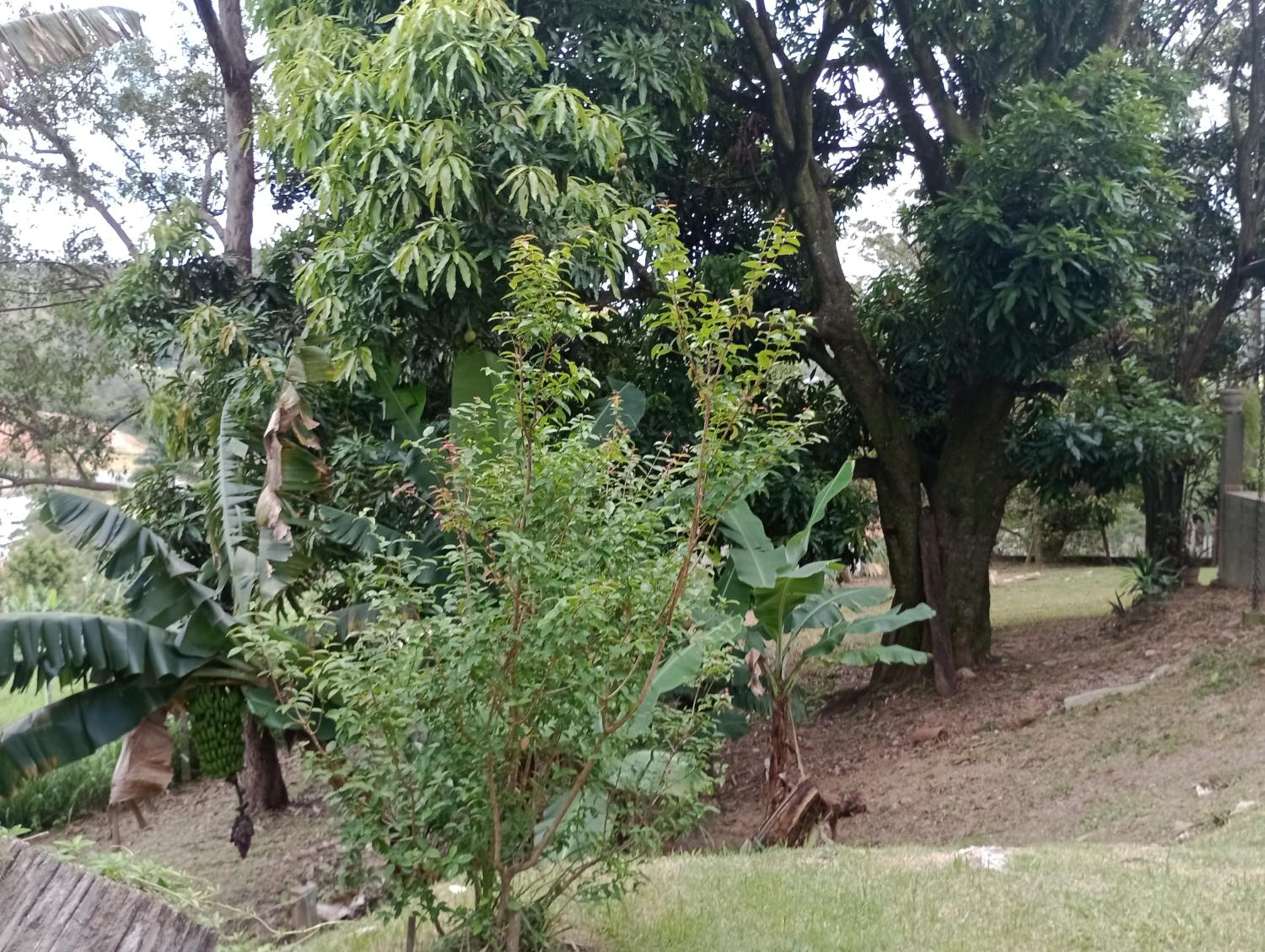 Nossa Casa Da Montanha