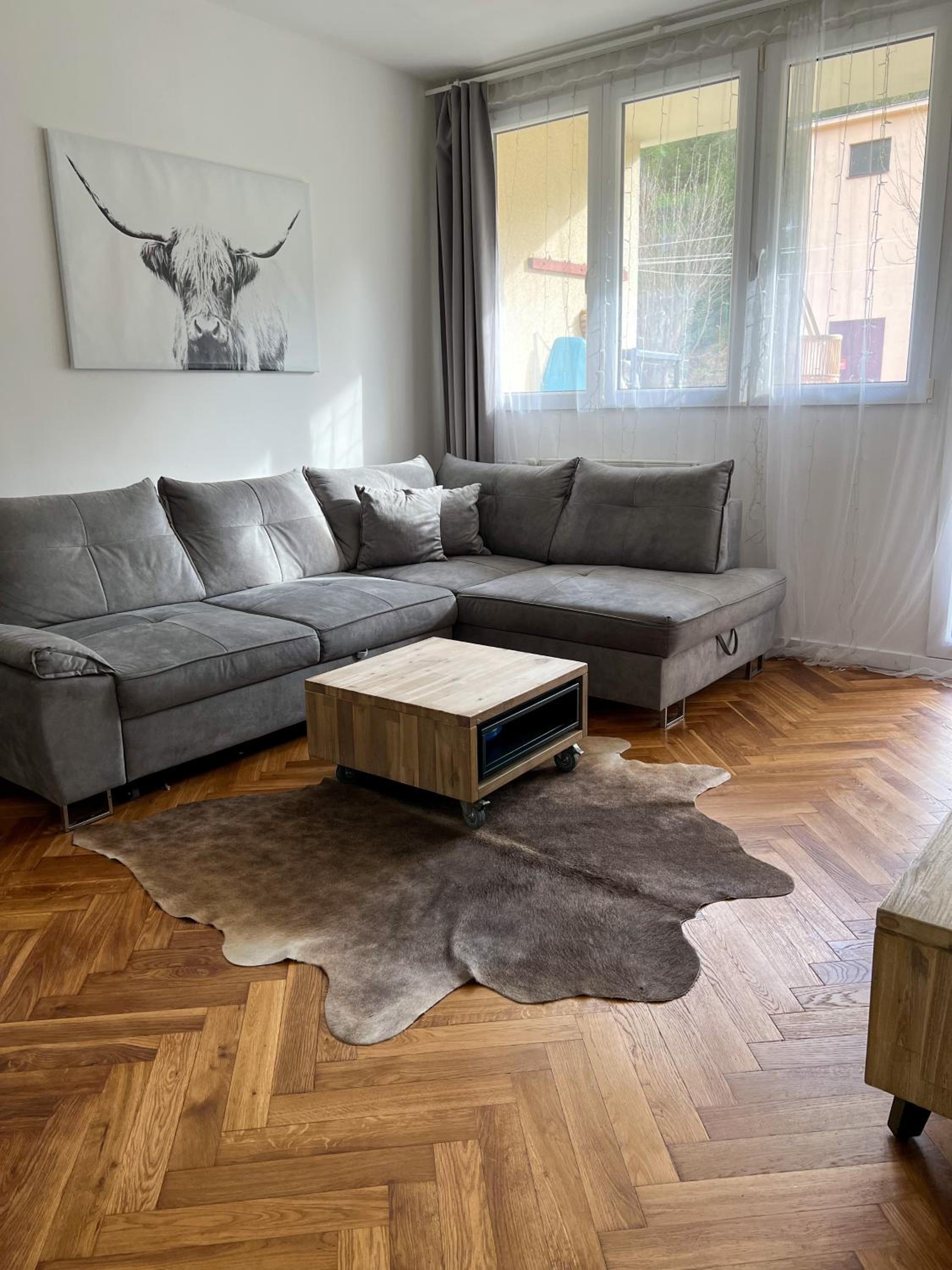 Apartmán Víšek view 4