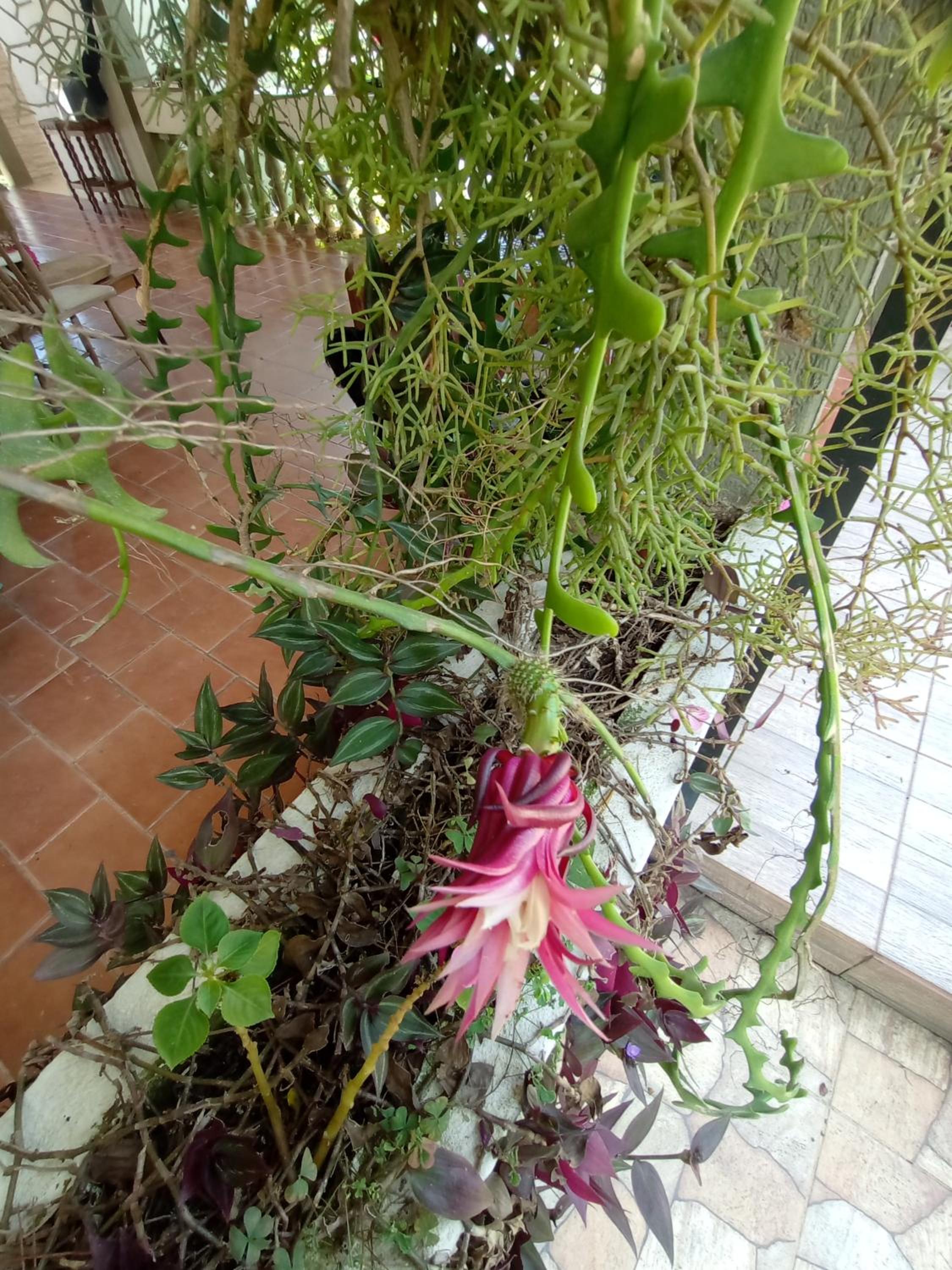 Nossa Casa Da Montanha