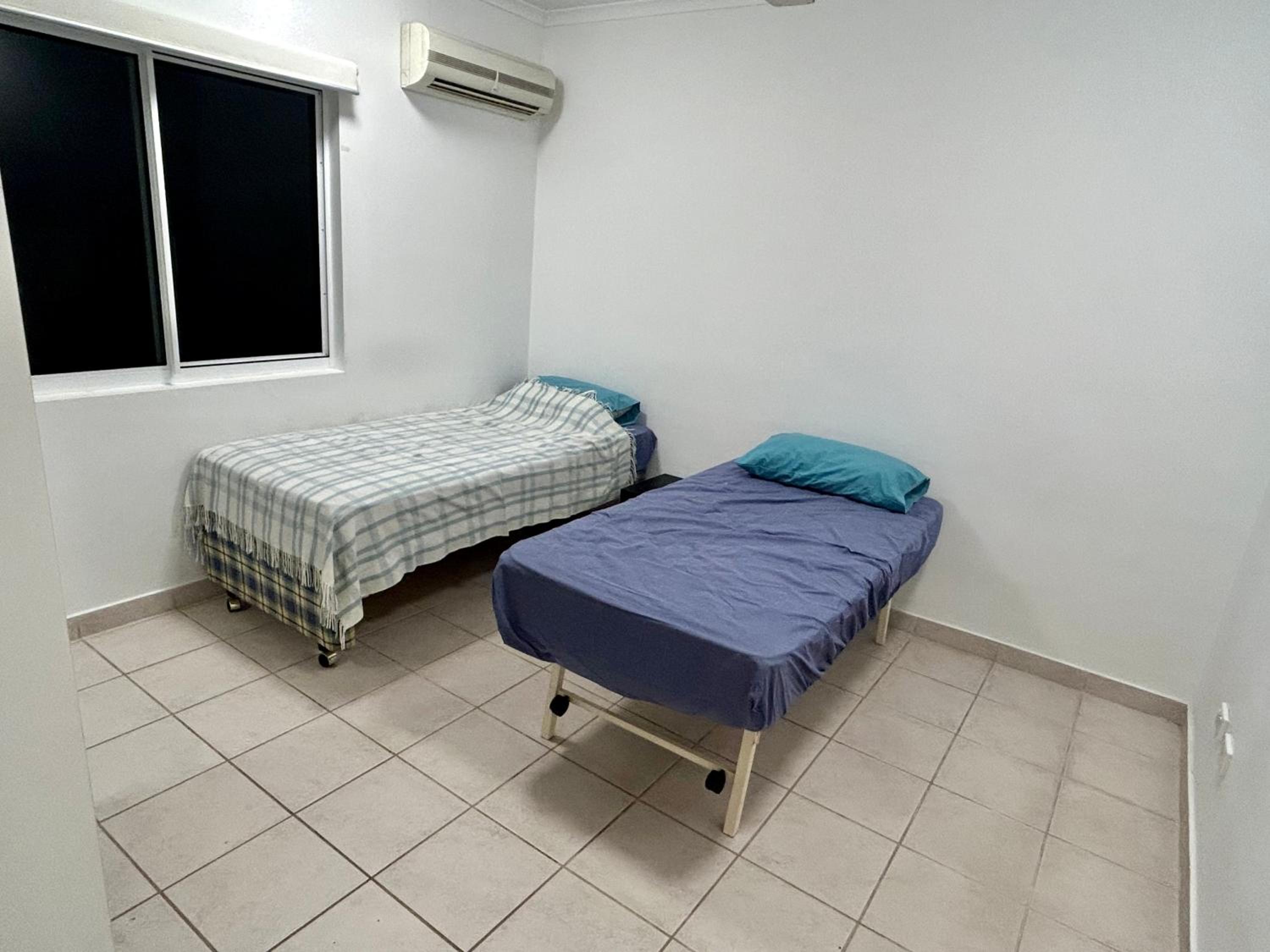 Room in city with kittens!