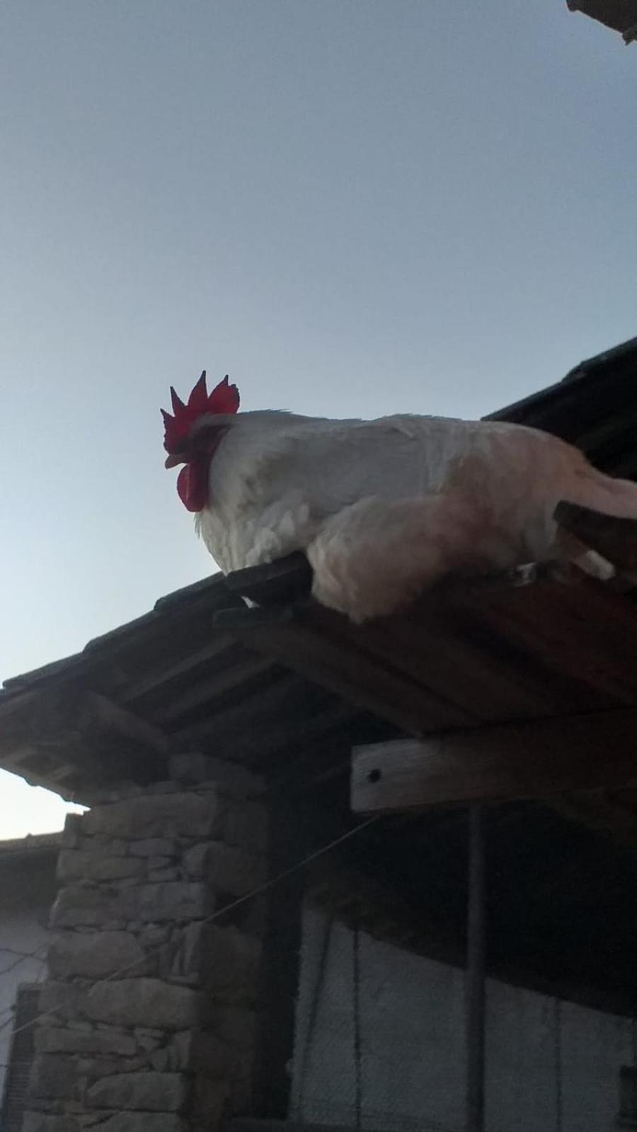 Agriturismo Cascina Knec