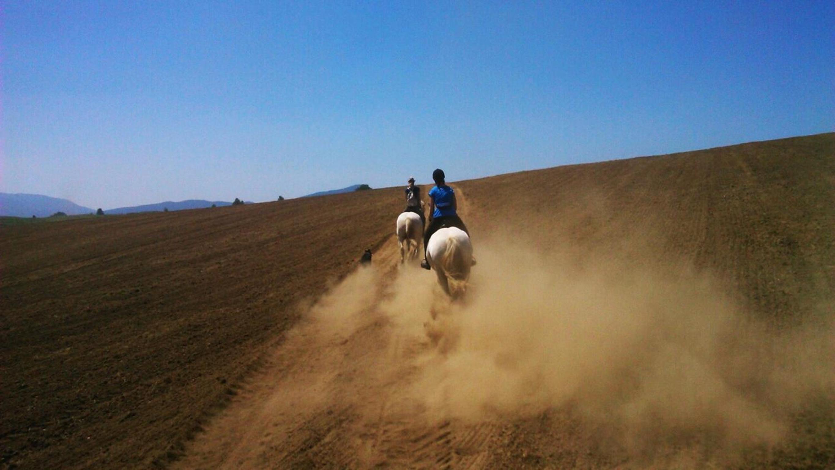 Ranch Terra