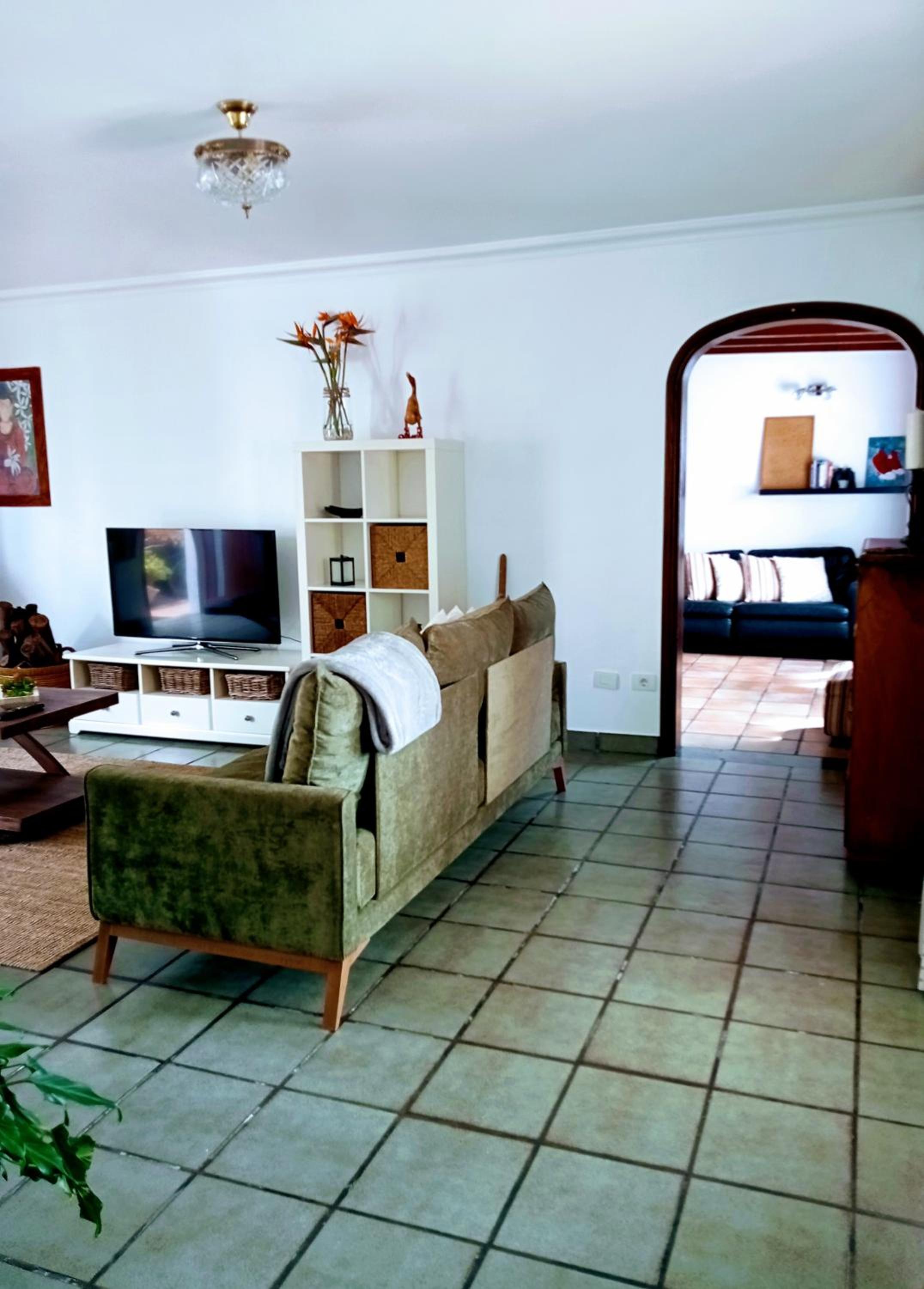 Casa Strelitzia
