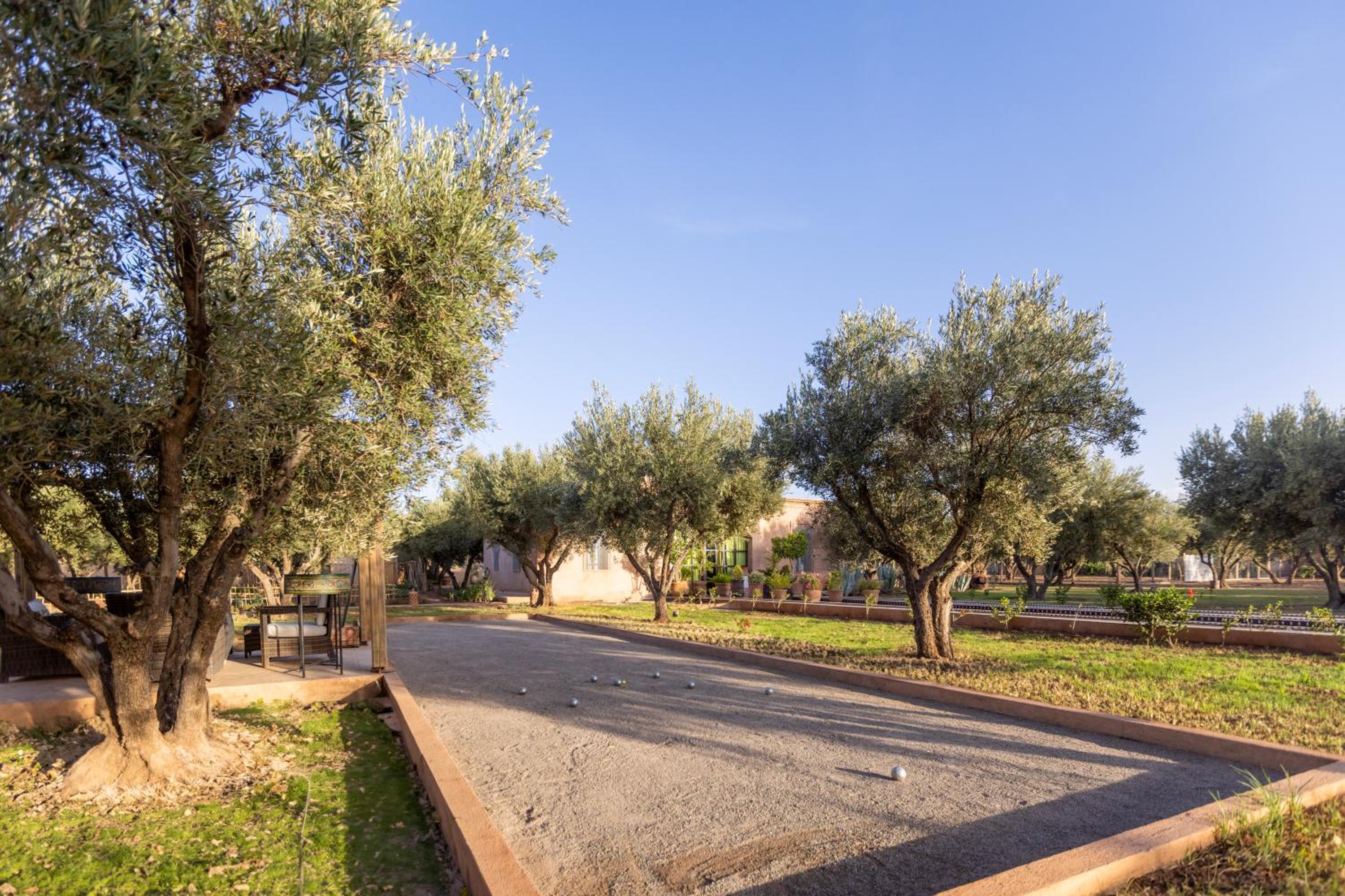 activities & amenities