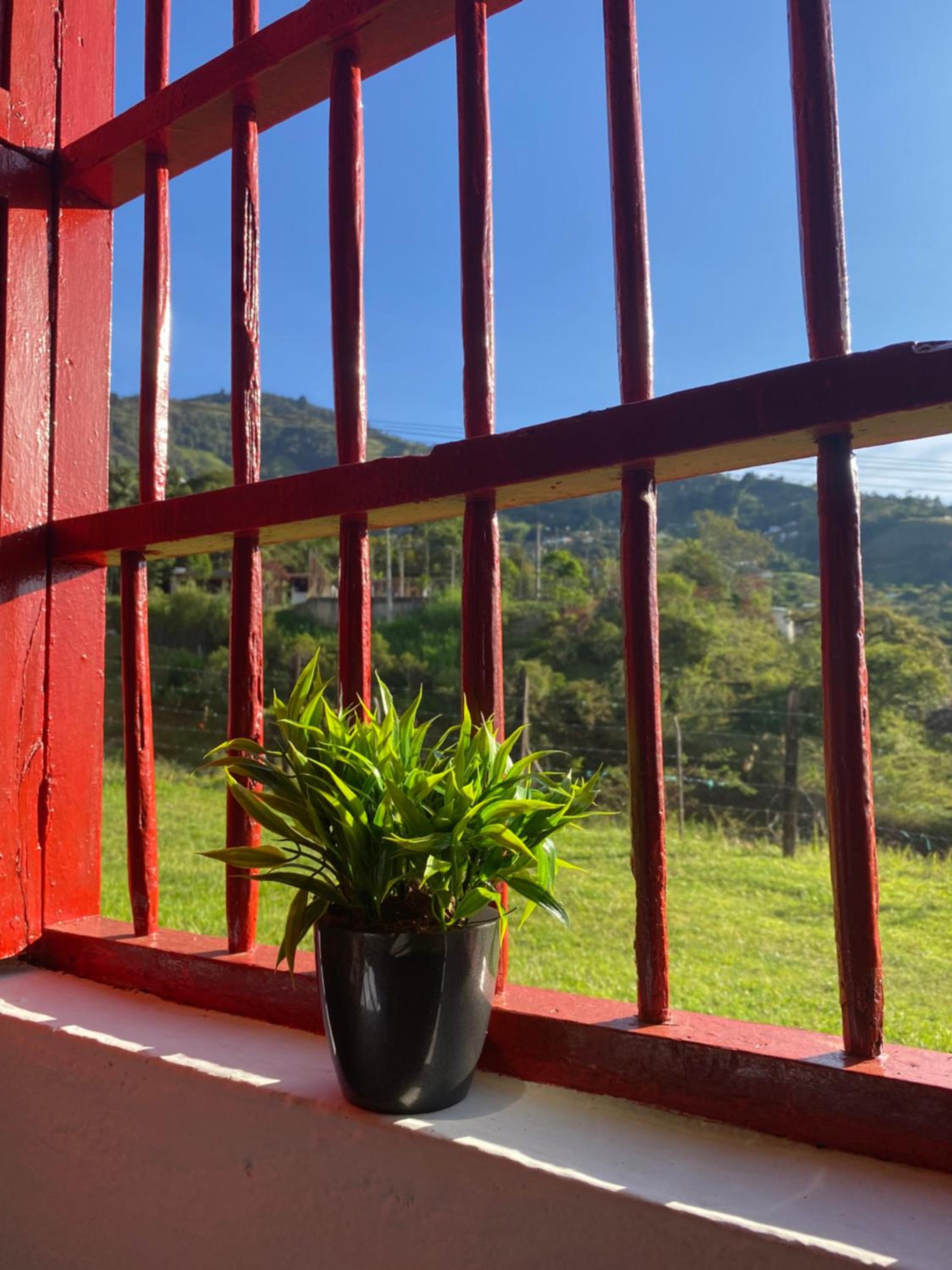 Habitación Caoba