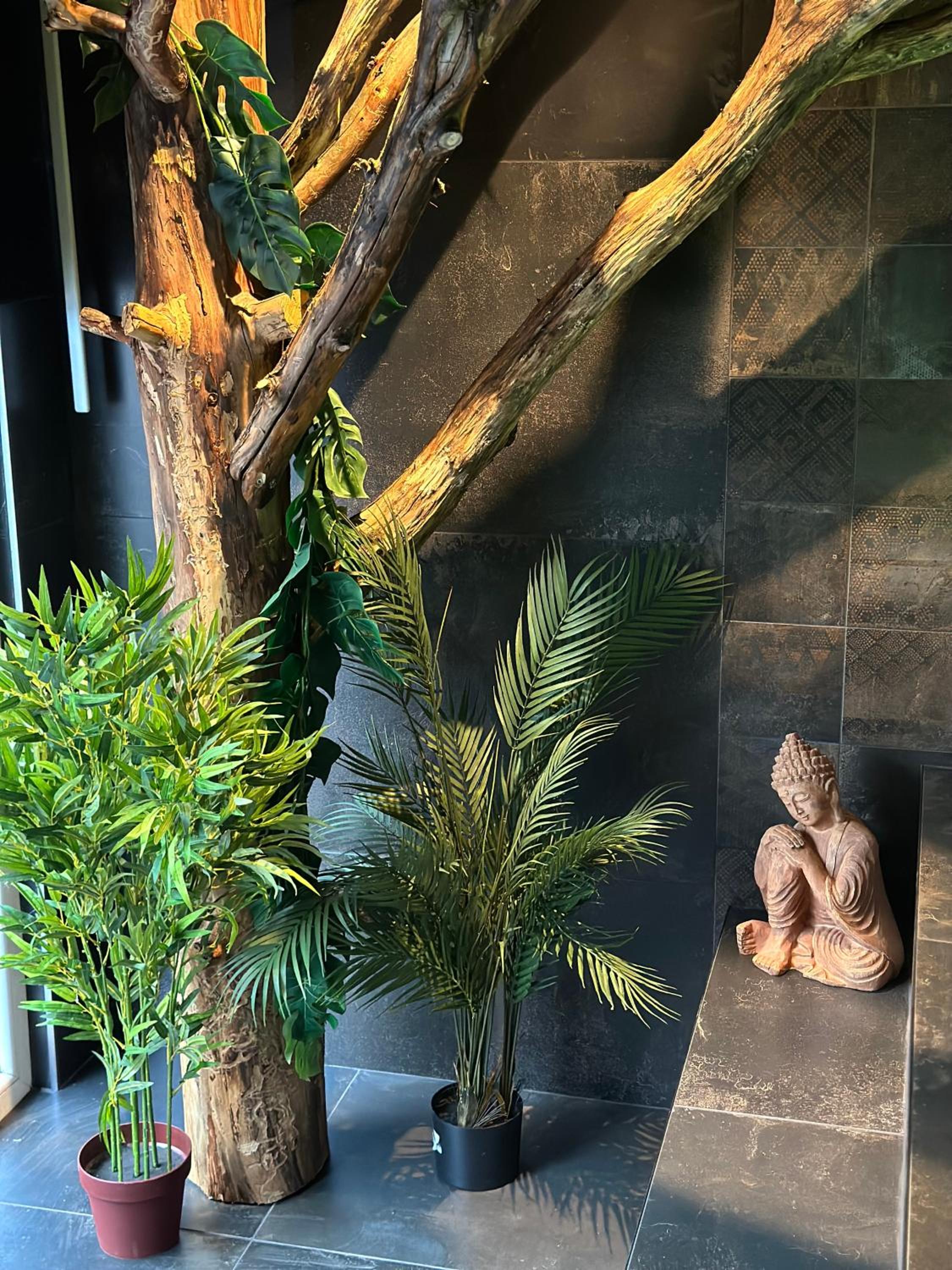 Suite Marie - Jacuzzi privé & sauna