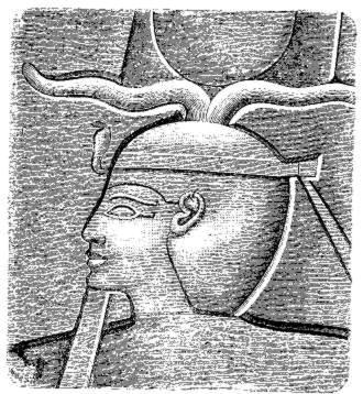 Riad Perlamazigh