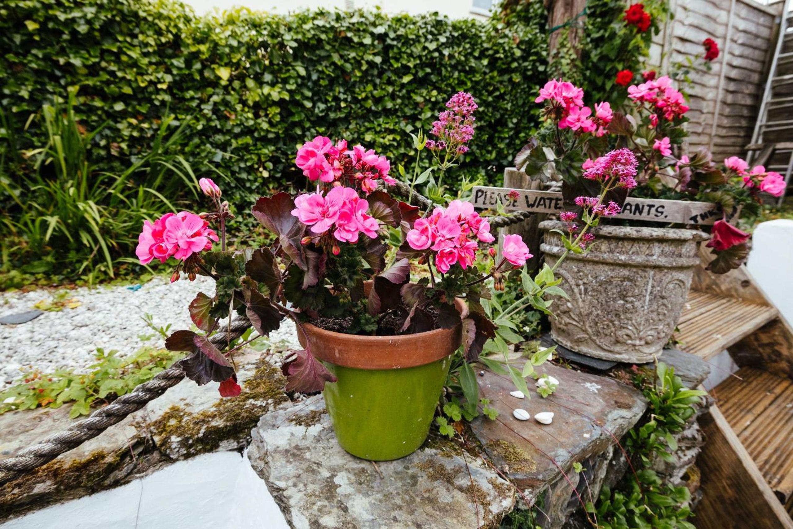 Roses Cottage