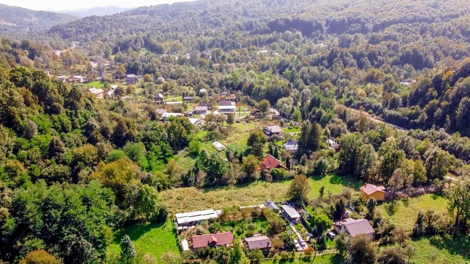 Pensiunea Micul Maramureș view 2