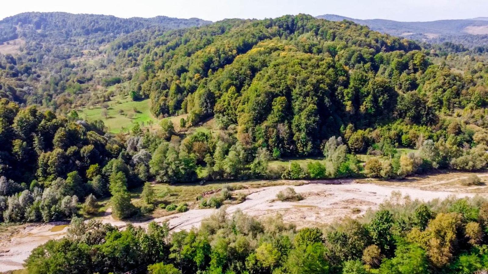 Pensiunea Micul Maramureș view 4
