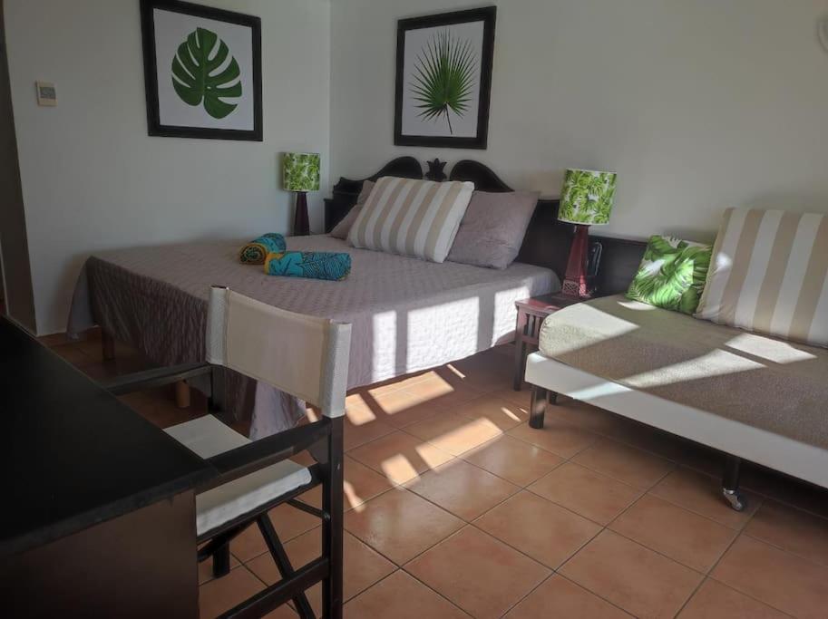 Studio vue mer - village de vacances - Sainte Anne view 5