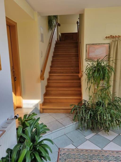 2 Zimmer Wohnung in Thermennähe für 4 Personen