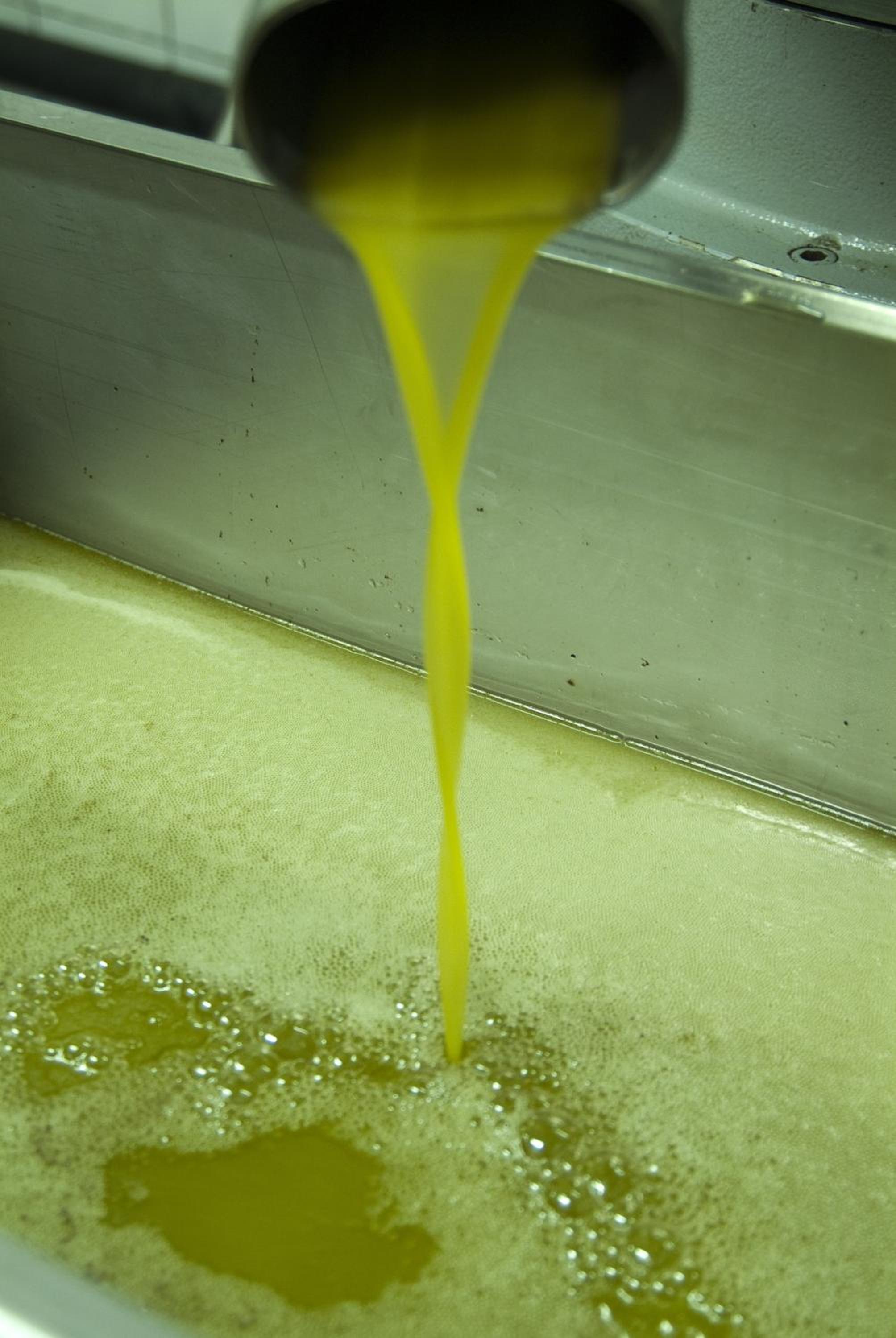 Podere Campofossato