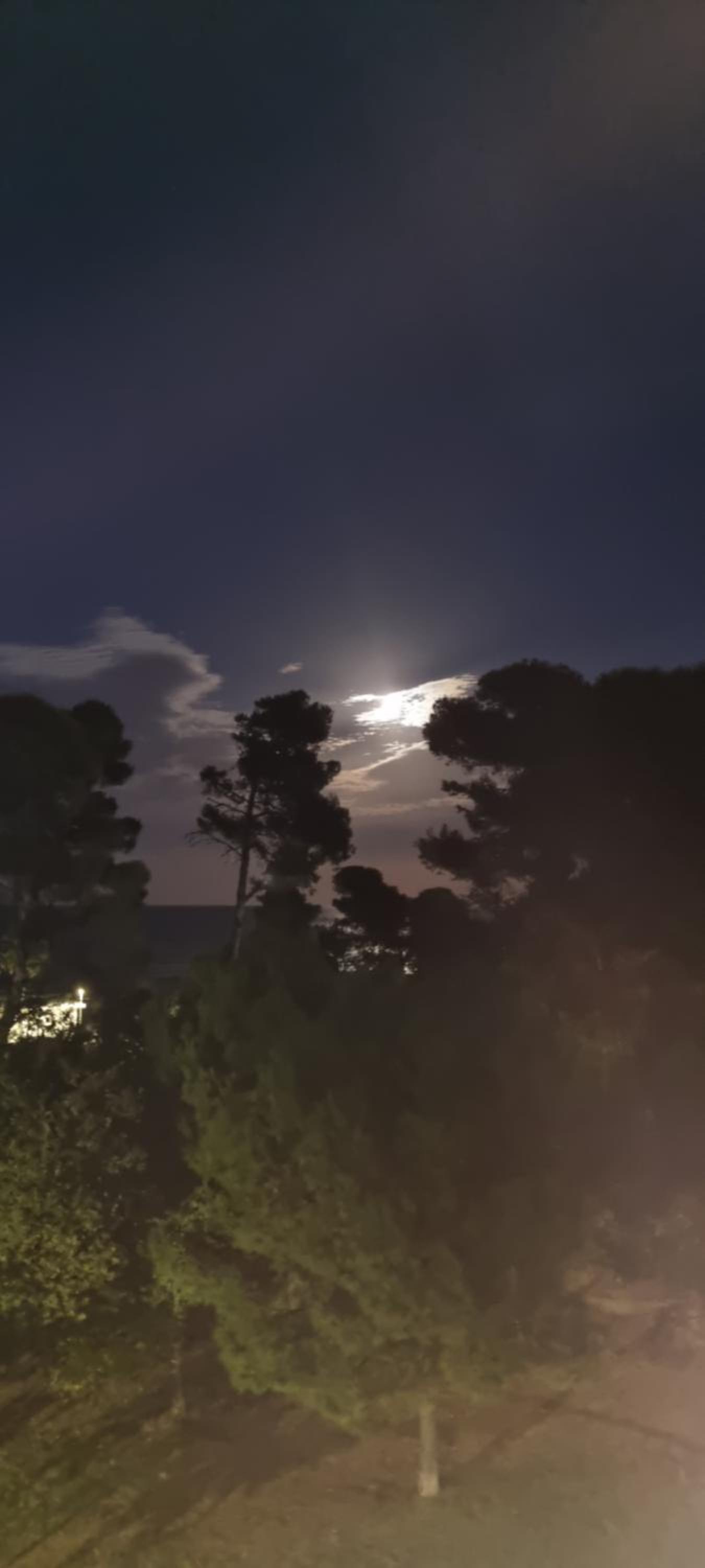 San Clemente Holidays view 3