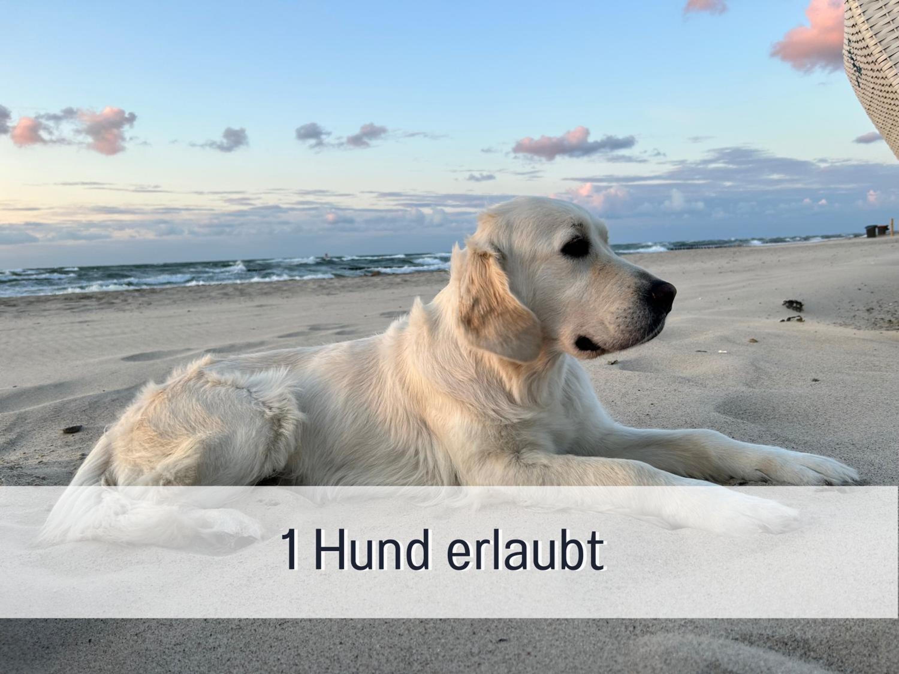 3 Zimmer App Dünengarten Fewo 58