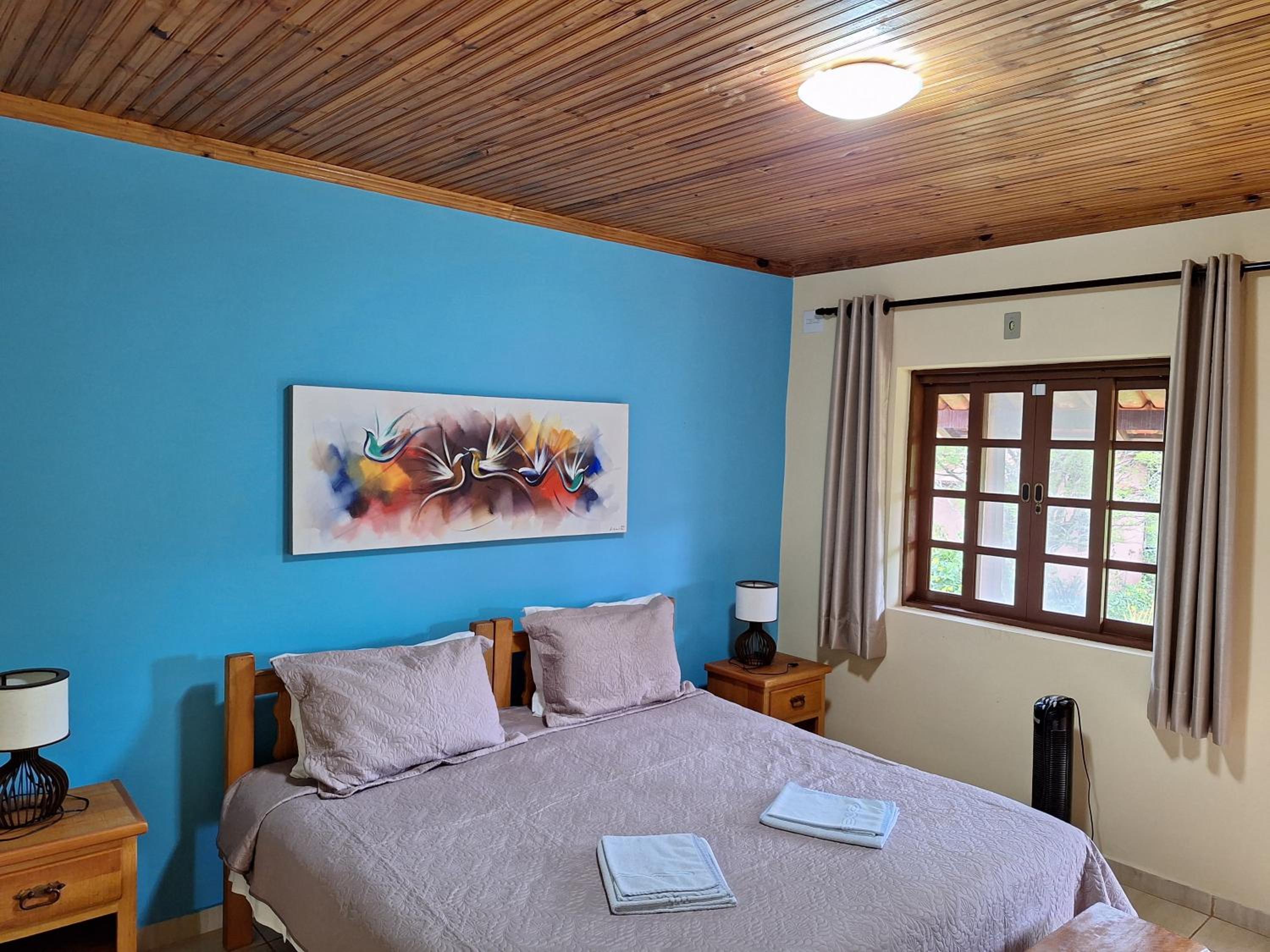 Photo 137
