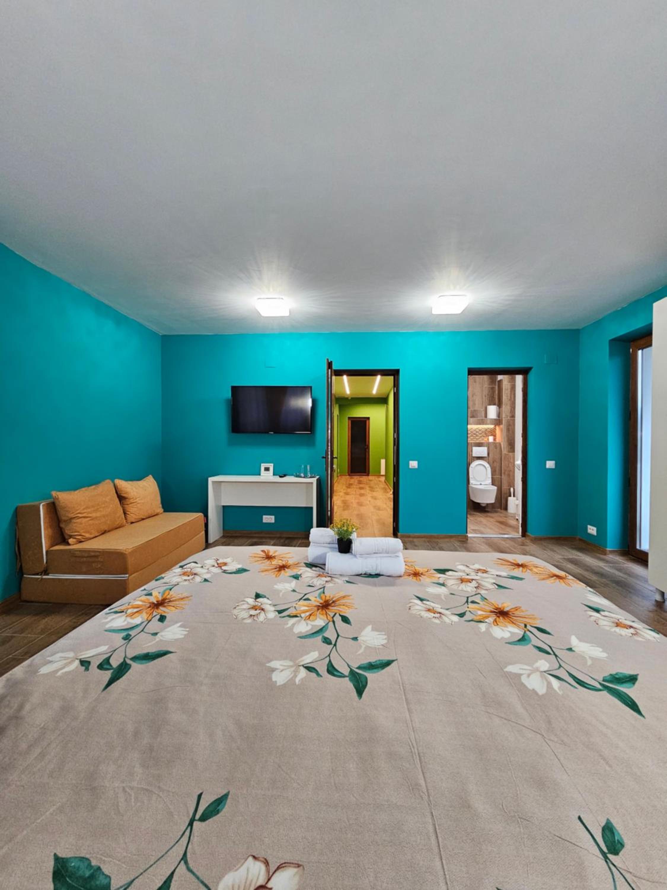 Casa Dintre Brazi view 5