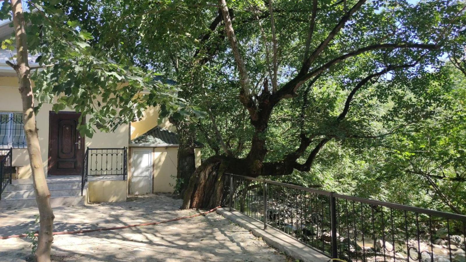 Country home EJ