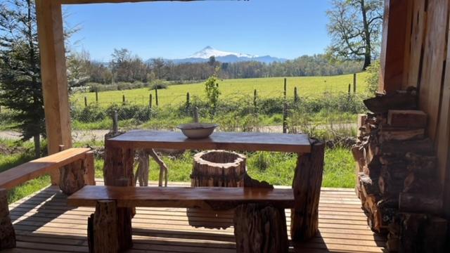 Preciosa cabaña pet friendly con vista a volcanes Villarica y Choshuenco, cerca Termas