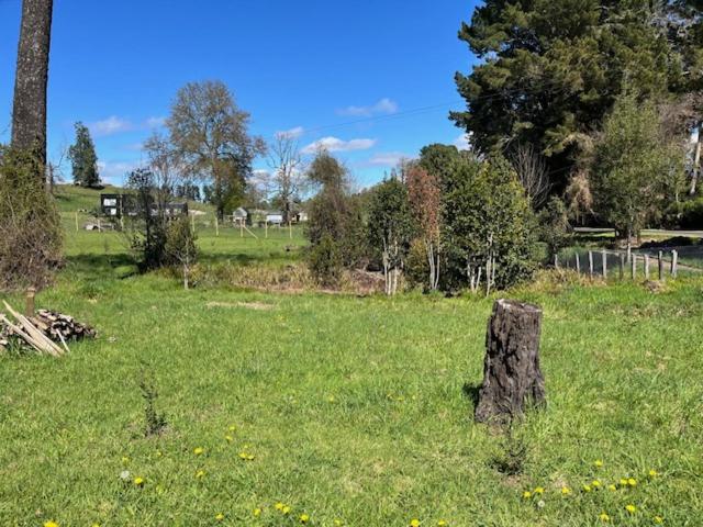 Preciosa cabaña pet friendly con vista a volcanes Villarica y Choshuenco, cerca Termas