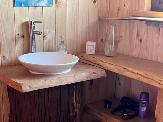 Preciosa cabaña pet friendly con vista a volcanes Villarica y Choshuenco, cerca Termas