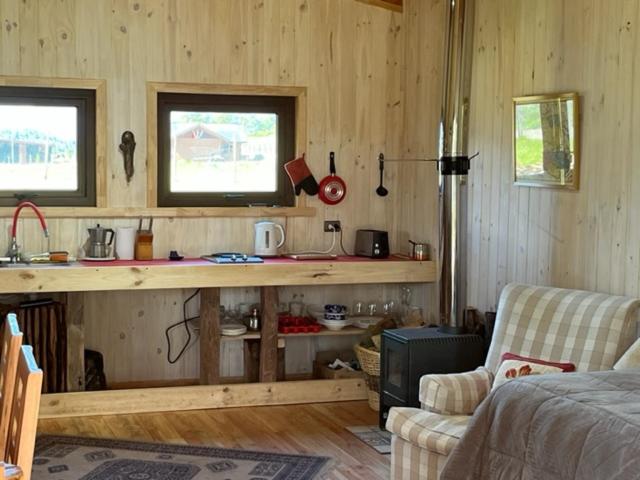 Preciosa cabaña pet friendly con vista a volcanes Villarica y Choshuenco, cerca Termas