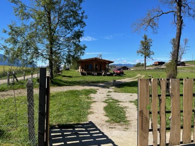 Preciosa cabaña pet friendly con vista a volcanes Villarica y Choshuenco, cerca Termas