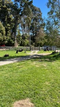Preciosa cabaña pet friendly con vista a volcanes Villarica y Choshuenco, cerca Termas