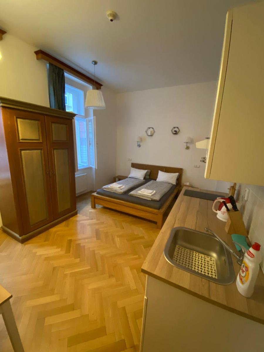 Cosy central apartment in Žižkov