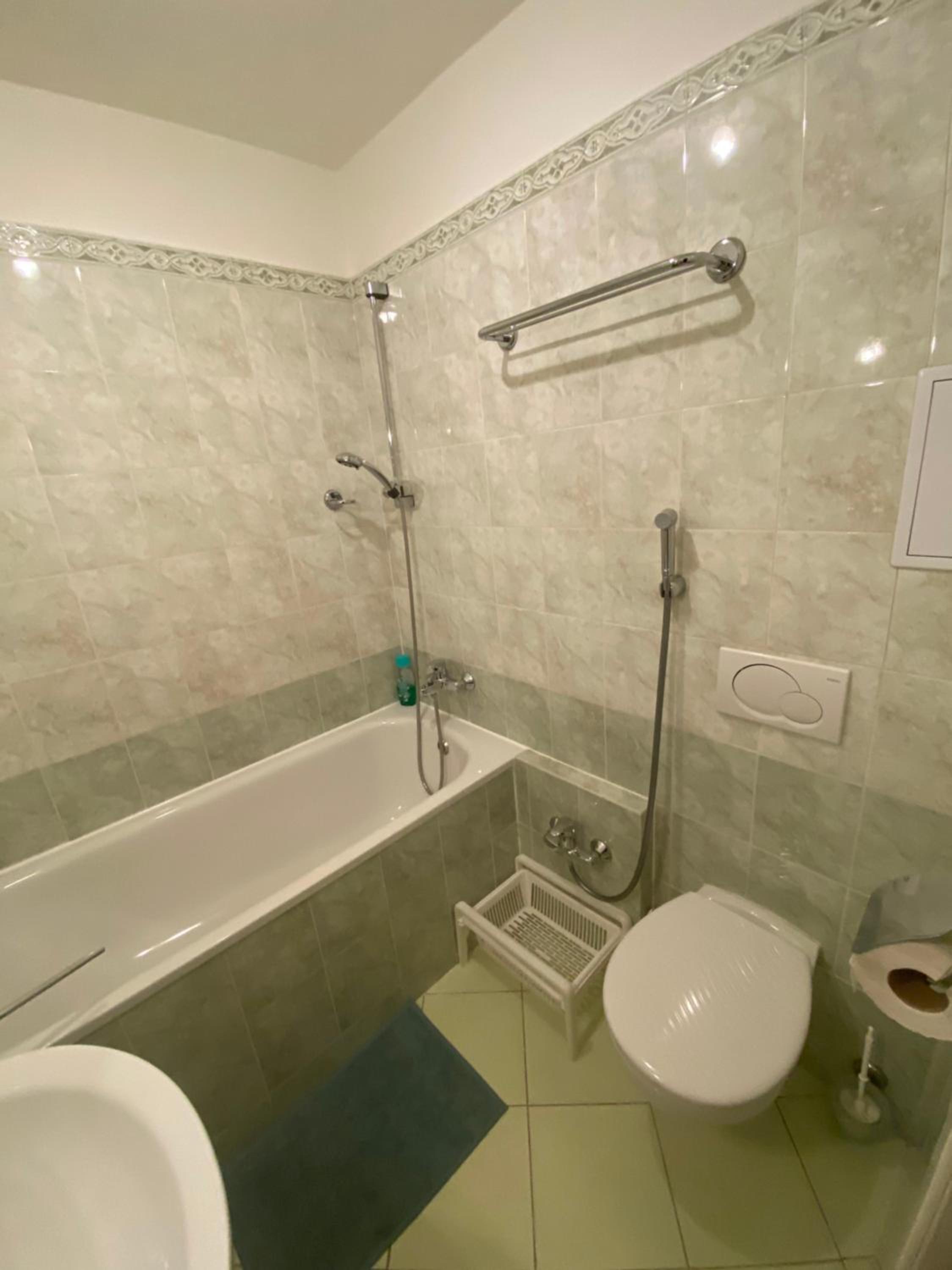 Cosy central apartment in Žižkov