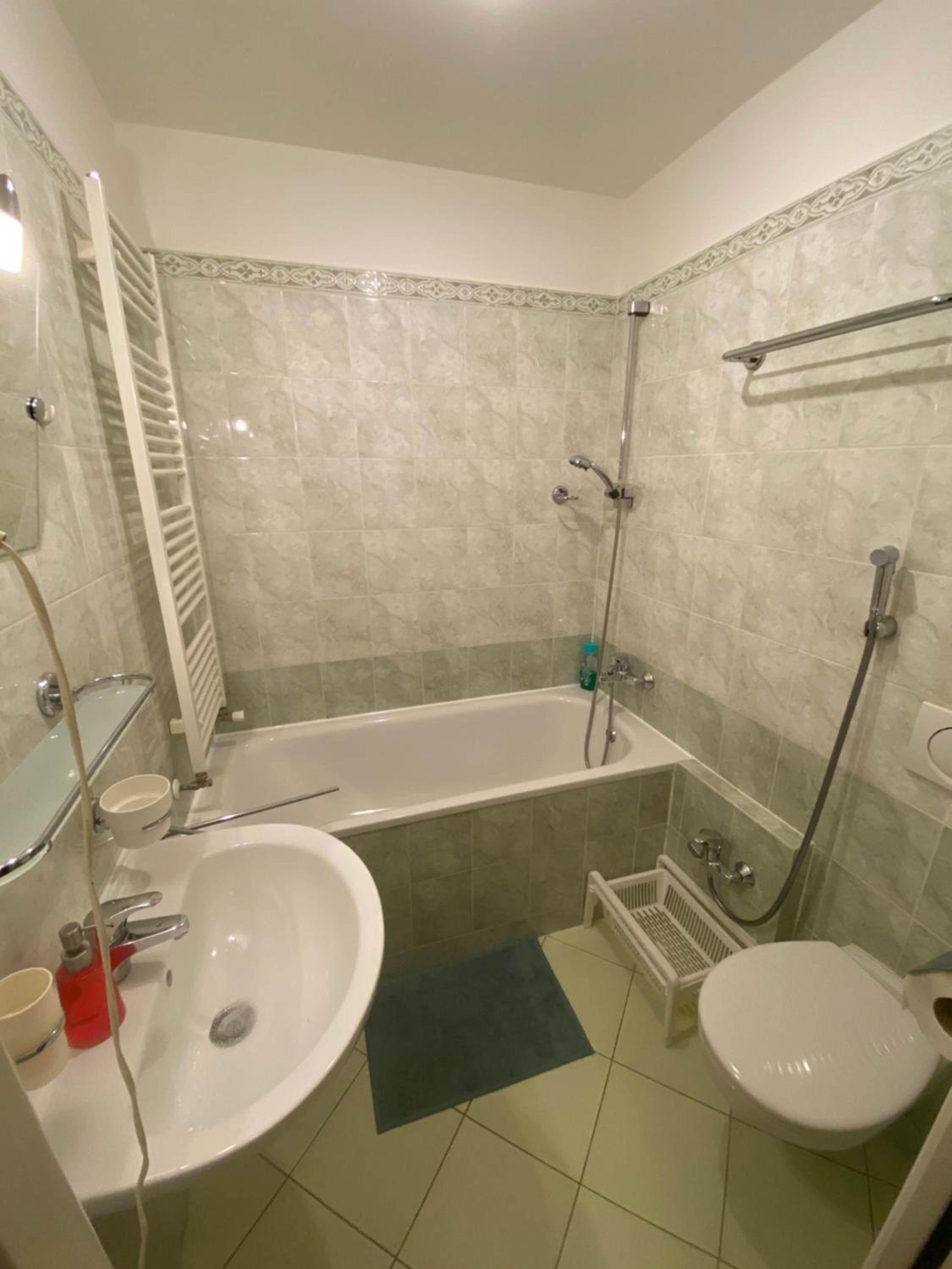 Cosy central apartment in Žižkov