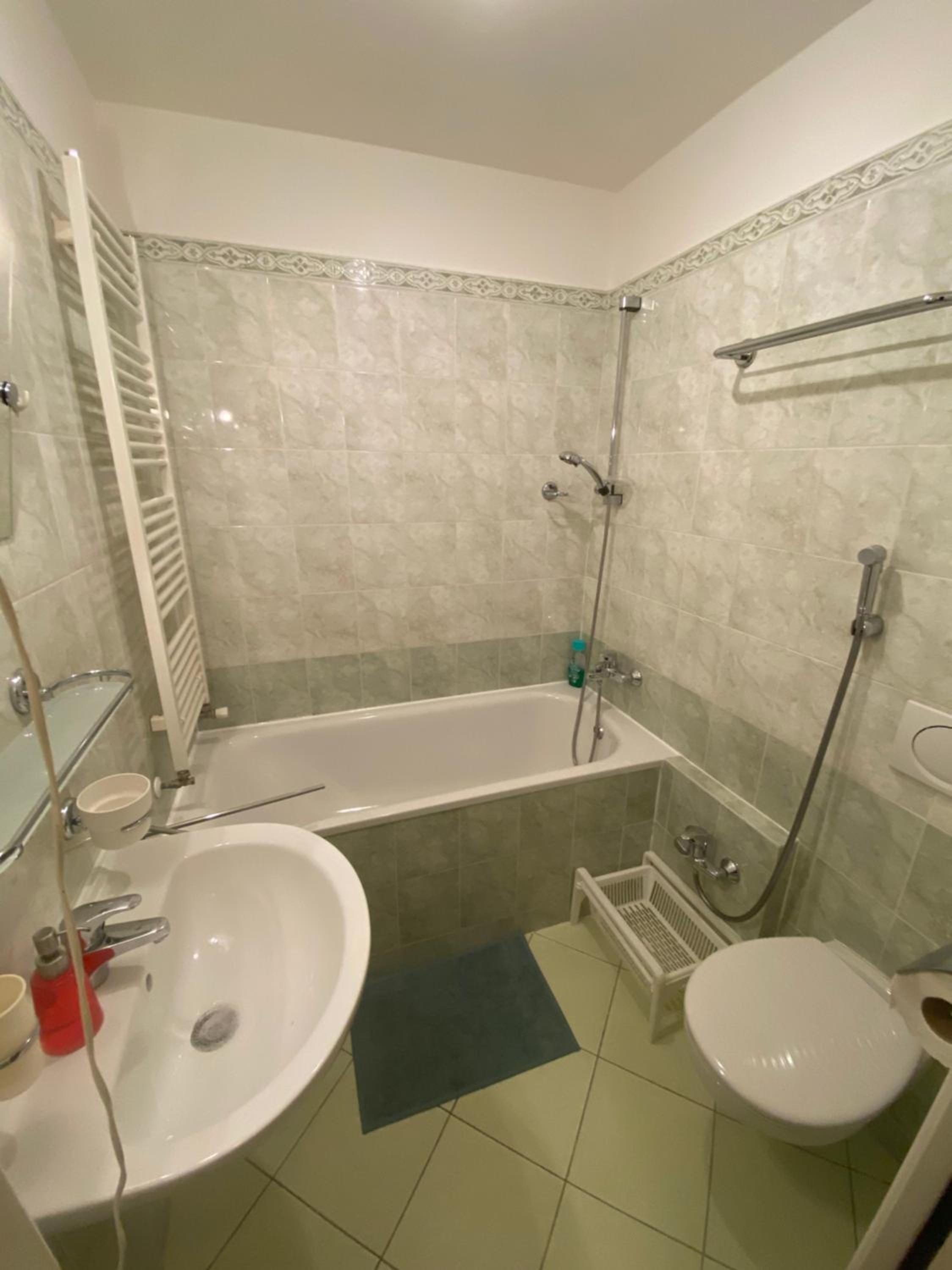 Cosy central apartment in Žižkov