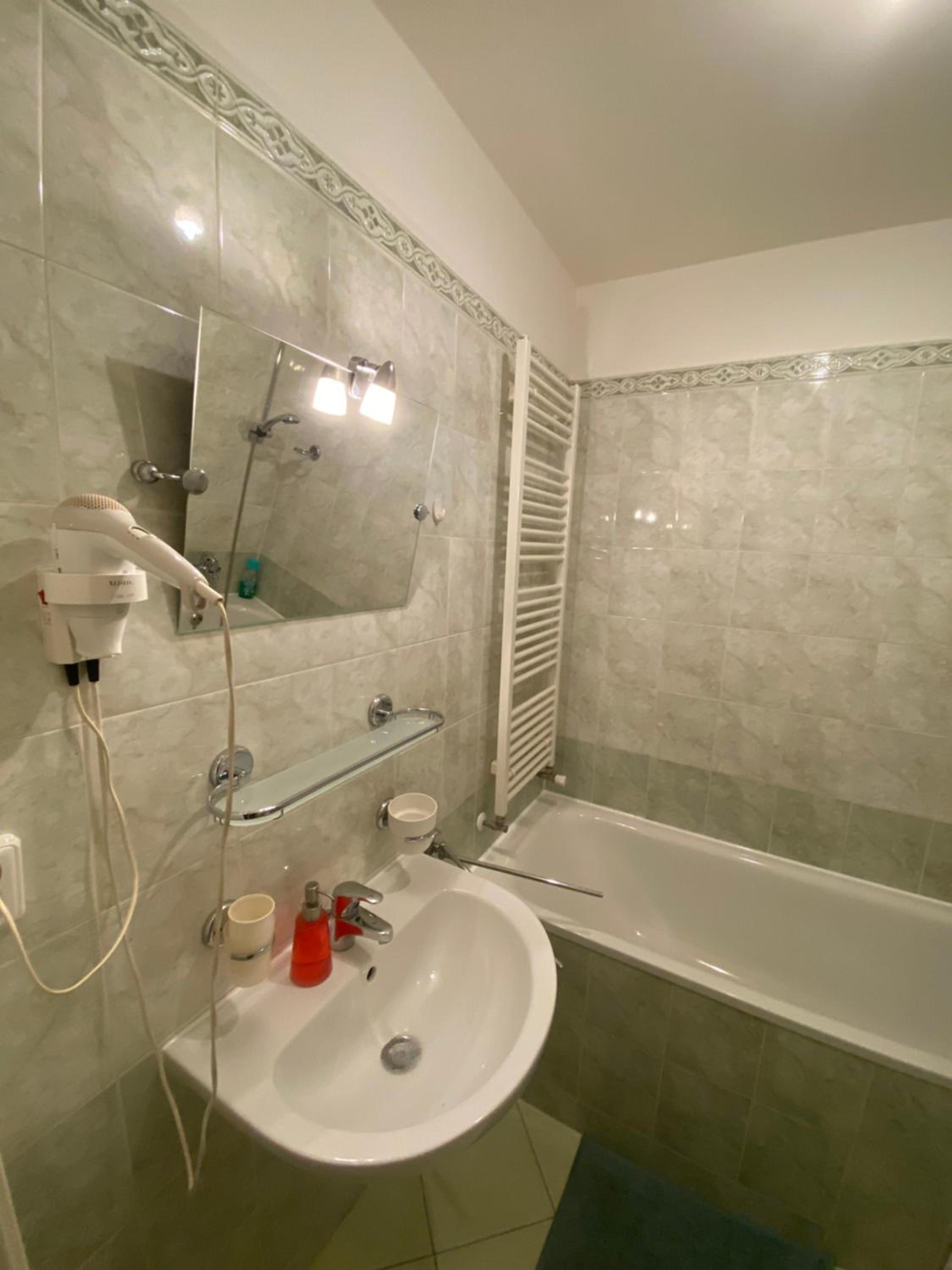 Cosy central apartment in Žižkov