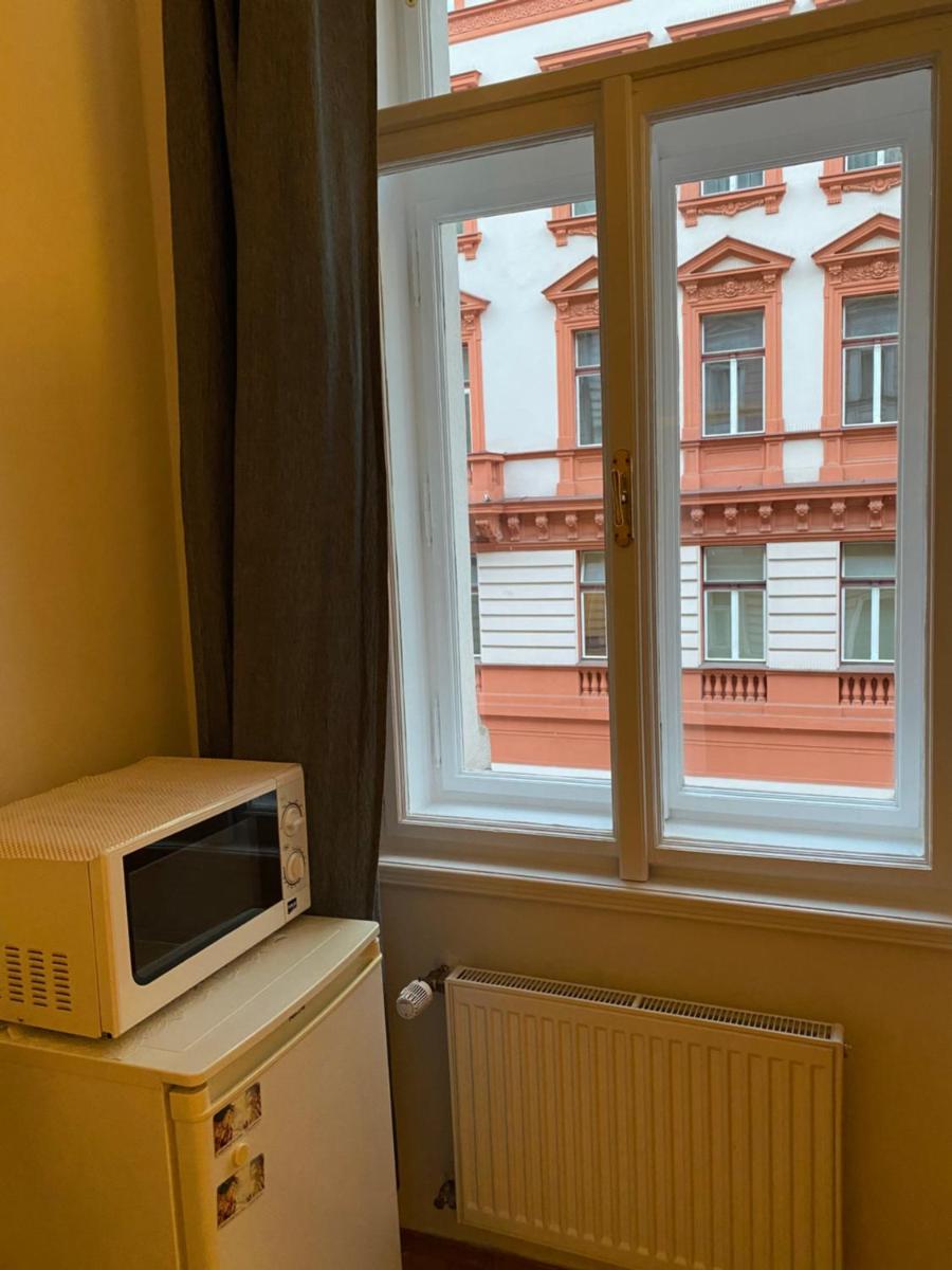 Cosy central apartment in Žižkov