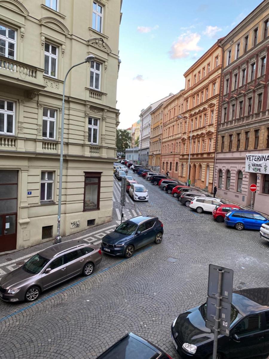 Cosy central apartment in Žižkov